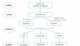 初始审查流程图