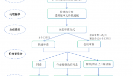 安全性事件审查流程图