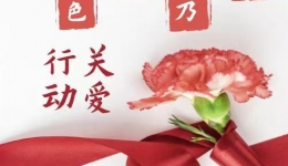 “红色康乃馨”关爱行动（第一期） ——妇科党支部为流产后女性开展心理关爱活动